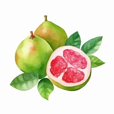 on white background cute and vibrant clipart featuring guava in watercolor style, hyper realistic photo flat color