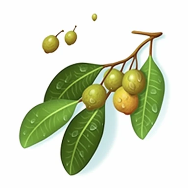 Isometric Sticker Clip Art of Lindentree Fruit, children friendly, illustrated in a playful and realistic style, perfect for any special occasion, cut out in the shape of a single very long Leaf with small balls, with no visible background, giving it the appearance of a sticker, conveying a mystical and whimsical mood, edited with Adobe Photoshop to adjust brightness and contrast, rendered as a transparent PNG file with a high resolution to ensure a crisp and clear image with no pixelation, suit