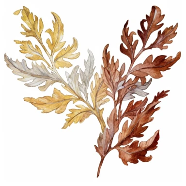 Design a dreamy watercolor clipart of a chinese-inspired Branches of oak leaves in shades of brown, copper, and gold arranged in a cascading and dynamic style composition, hand-painted with soft and graceful brushstrokes. Draw inspiration from the artistic finesse of Ethereal Petals Watercolors for a refined and ethereal depiction. isolated on a white background, hand-drawn illustration, hand-painted watercolor texture, 16k UHD resolution, intricately detailed, sharp focal points, designed by An