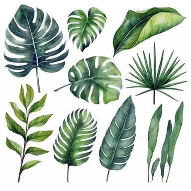 palm leaves set, watercolor botanical painting, jungle illustrations, monstera and banana leaf, clipart, pure whith background