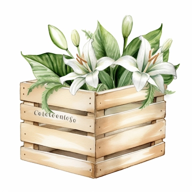 casablanca lilies in a trendy modern light wood crate with jute rope handles, detailed realistic watercolor illustration, white background clipart