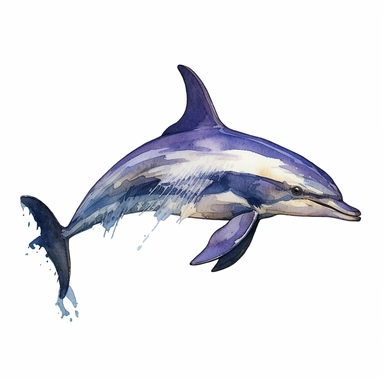 a Dolphin Fins in the style of watercolour clipart with detailed brush strokes