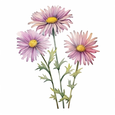 three long stalks of England Aster flowers, in watercolor clipart