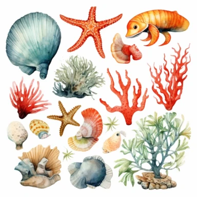Ocean Life: Detailed watercolor illustrations of sea creatures, such as fish, seashells, starfish, and coral, bringing the underwater world to life. clipart, white background