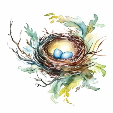Watercolor Bird Nest Clipart, white background