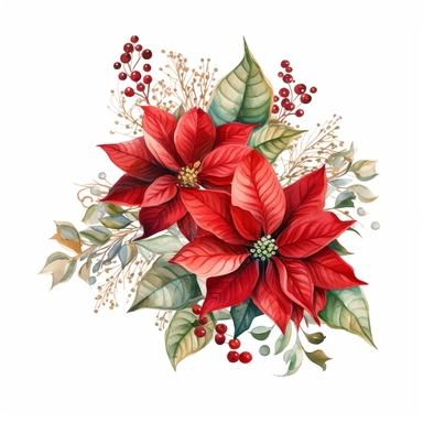 vector watercolor cute vintage Christmas poinsettia, intricate design, clipart on white background, fall, Christmas poinsettia, red and green, photorealistic, ultrarealistic, no background, on whit