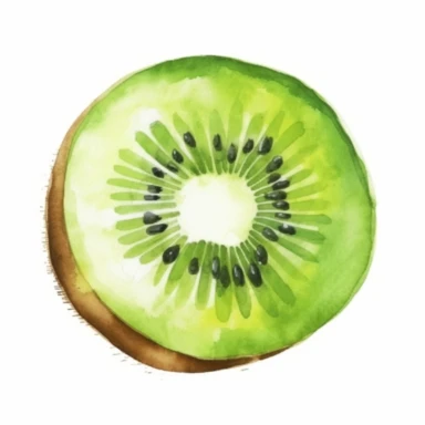 a kiwi fruit, watercolor clipart