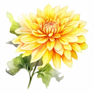 Watercolor lemon yellow dahlia clipart on a white background in the style of feminine sticker art, Tanya Shatseva, storybook illustration, sunny hues, Georgia O'Keeffe, flower and nature motifs, colored line art, colored outlines, cottagecore design, watercolor on white background, ombre, warm tones, colored line art, colored outlines, iridescent ombre, gradient shading, summer sunshine tone, vibrant digital art oil paint photorealism, an illustration of a colored flower, meticulous sketches, Ma