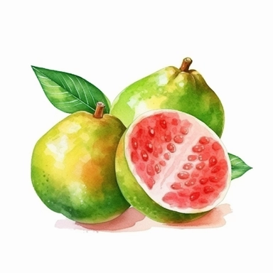 on white background cute and vibrant clipart featuring guava in watercolor style, hyper realistic photo flat color
