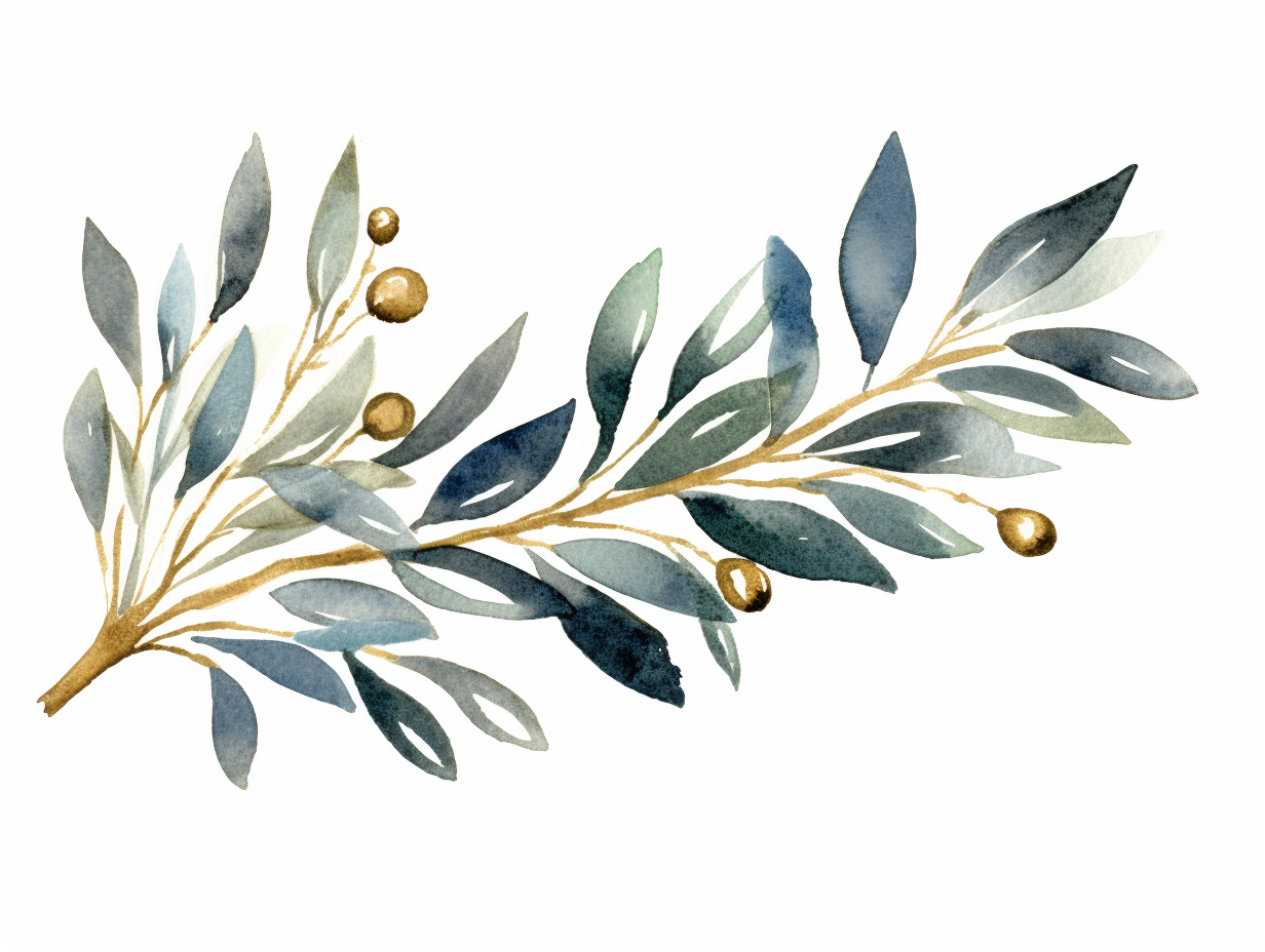 olive branch clipart