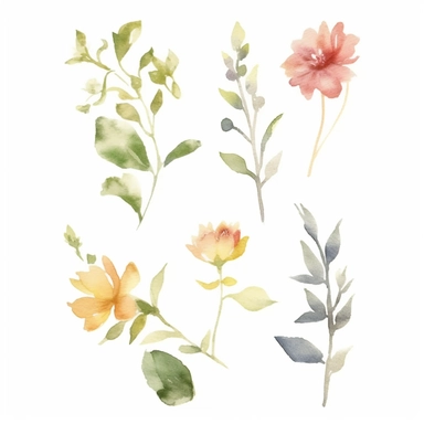 variations, in the style of watercolor painting, white background, etsy clipart, marriage flower clipart