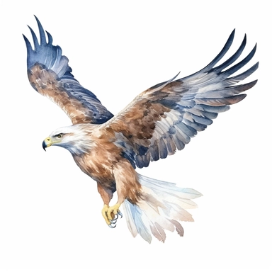 a harmonious eagle flying with kind eyes clipart with watercolor illustration,full body shot,8k,etsy style, white background