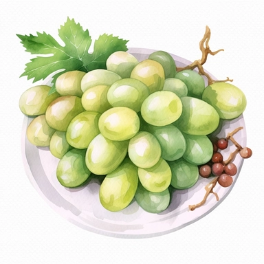 An Green Grapes fruit with a slice cut out, placed on a plate or tray with other fruits or desserts , Watercolor, pastels, clipart, beautiful, colourfull, png transparent white background, high resolution, no caption q4 s2