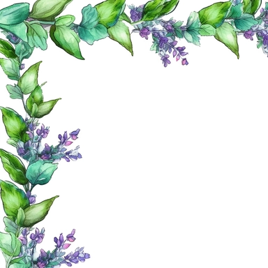 Holy Basil, page border style, clipart, watercolor, vintage--q2