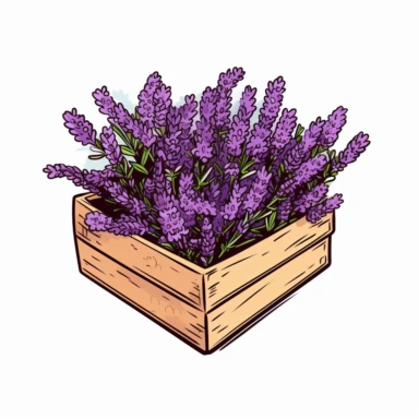 square box open with many lavender flowers in it, vector clipart style, solid white background