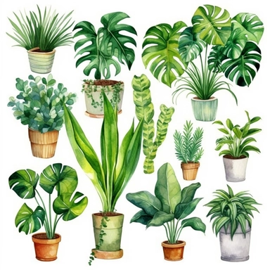 Watercolor House Plants Clipart. Indoor Plants Planner Elements. Monstera, Cactus Scrapbooking. Boho Home Decor Clipart. Home Green Garden.