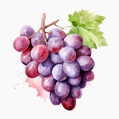 one grape watercolor clipart on a white background, in the style of hyperrealistic murals, silver and red, uhd image, light black and crimson, gray and crimson, no watermark, text, words, paintbrush, 300 DPI , typography, the images do not stick together, no text in the picture, there are no words in the tree