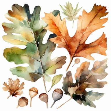 watercolor oak leafes, clipart