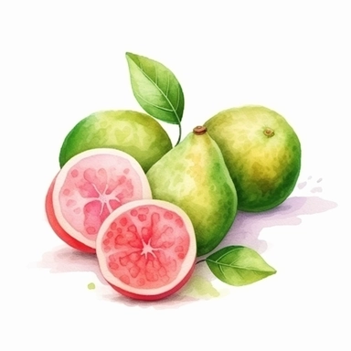 on white background cute and vibrant clipart featuring guava in watercolor style, hyper realistic photo flat color