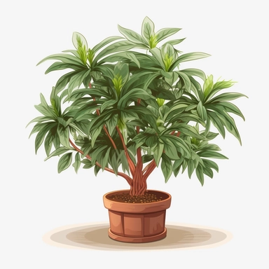 Clipart, vector, potted plant, with transparent background