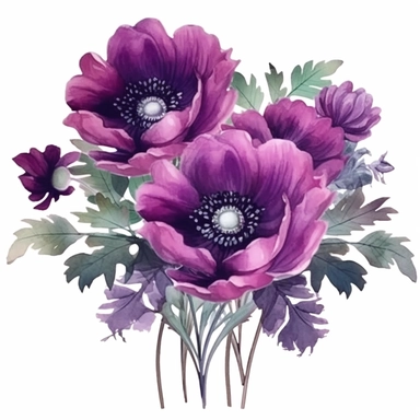 dark Magenta anemone flower bunch, watercolor, clipart, highly detailed, HD, flowers arranged in a square-shaped frame