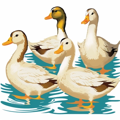Ducks clipart