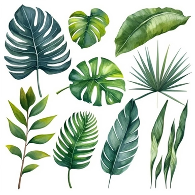 palm leaves set, watercolor botanical painting, jungle illustrations, monstera and banana leaf, clipart, pure whith background
