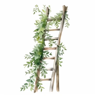 foliage ladder , watercolour clipart, white background
