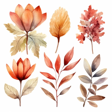 Watercolour, autumn, boho, bokeh, individual, floral, leaf, bloomcore, clipart