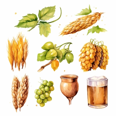 group of beer ingredients like barley-hops-yeast, showcasing their natural beauty and textures, full color, clipart, watercolor illustration, single object, high definition 8k, white background for removing background