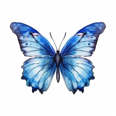 Watercolor, Blue Ulysses Butterfly, cute, clip art, white background