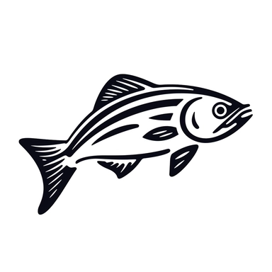 salmon fish svg icon - monoline design white background simple clip art