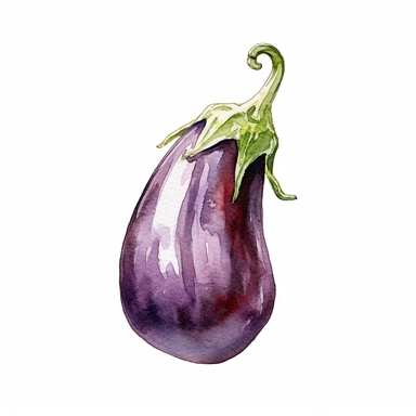 an eggplant ,watercolor sketch, clipart, white background