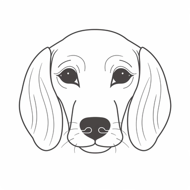 simple outline of a front facing Dachshund dog head, kids cartoon, minimalist, black on white, lineart, 2d flat file, silhouette, clipart, svg