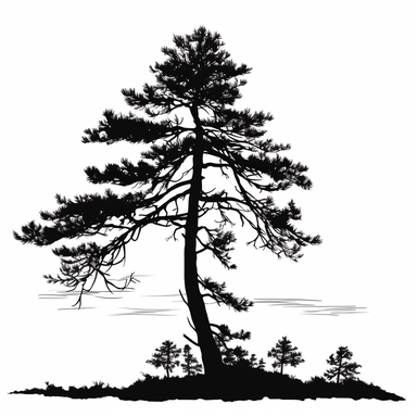 silhouette of tall pine tree clip art style black on white background swaying