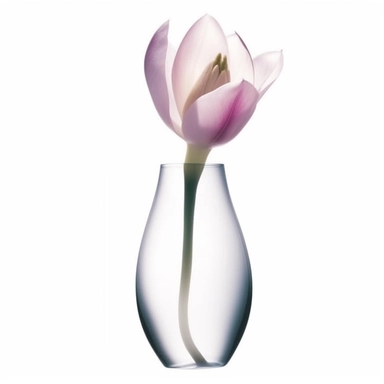 Design a dreamy watercolor clipart of a magnolia in a simple bud vase or a sleek glass cylinder composition, with soft and graceful brushstrokes in a delicate color palette of Soft pink, lavender, and mint green. Infuse the artistic style of Serenity Blooms Watercolors for a serene and calming depiction. isolated on a white background, 8k uhd, designed by Ana Victoria Calderon and Holly Exley,