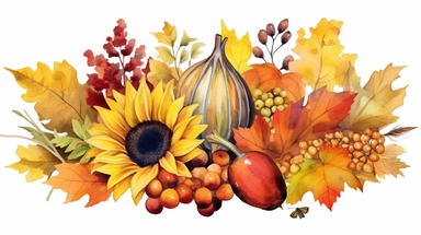 Watercolor fall illustration. Autumn leaves, sunflower bouquet, maple leaf, rowan berries, oak leaf, acorn, mushrooms arragement. Thanksgiving clipart