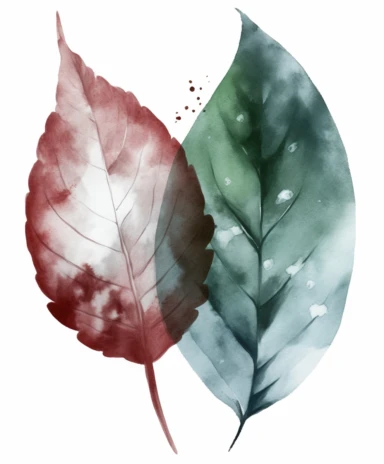 watercolor clipart illustration of a leaf green and grey, in the style of meticulous design, minimalistic serenity, light turquoise and dark white, oil paintings, dark green and light crimson, naturalistic poses, imitated material