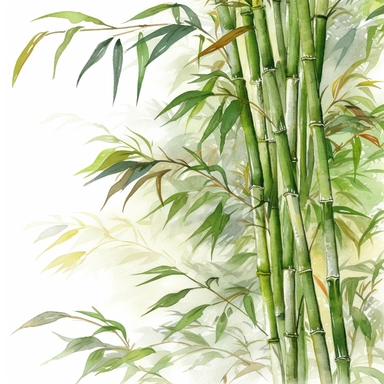 Clipart, vintage, watercolor, Bamboo Canopy, botanical illustration, hand drawn, texture