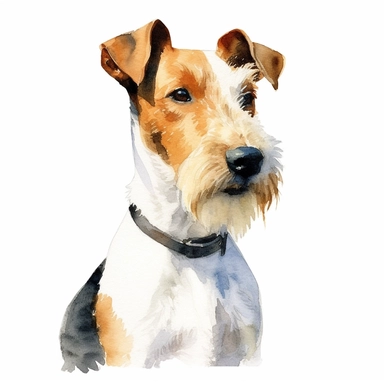 An illustrated portrait of a Fox Terrier, showcasing its alert expression and sleek coat, with a white background and watercolor clipart.