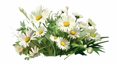isolated flat clipart on a white background of a beautiful daisies, in the style of daniel f. gerhartz, close-up view, in the style of martin ansin, bruce timm, ralph bakshi, transcendent, nikon d850, art of burma, captures the essence of nature, in the style of organic forms and patterns, black green and dark navy, subtle ink landscapes, expansive skies, hyper-detailed illustrations, i can't believe how beautiful this is, lively colors
