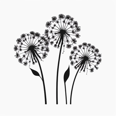 three dandelion flowers silhouette on a white background, simplified, black-and-white graphic clipart, simple illustration, hand drawn art, dandelion floral bouquet, cartoonish simplicity, graphic outline of dandelion flowers, minimalist design, two dimensional,