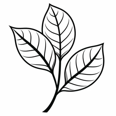 simple leaf clip art, clean blank line art, no gray color