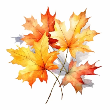 watercolor, autumn branch of maple leaves, sweet colors, clipart, white background