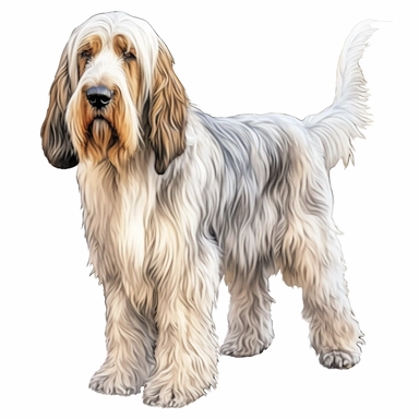 dog grand basset griffon vendeen clip art solid white background
