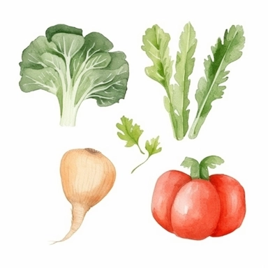 basic watercolor carrot, lettuce, tomato, bell pepper, garlic, onion in minimal hand drawn style, Etsy, textured, clipart, white background