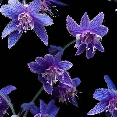 Purple borage flowers as a clipart with black background. A masterfully crafted digital artwork that explores the beauty and intricacy of purple borage flowers. The composition offers a close-up perspective, allowing the viewer to marvel at the delicate details of each petal and the unique patterns they create. Soft lighting highlights the vibrant purple tones, evoking a sense of tranquility and serenity. The artwork exhibits a contemporary realism style with a touch of impressionism, reminiscen