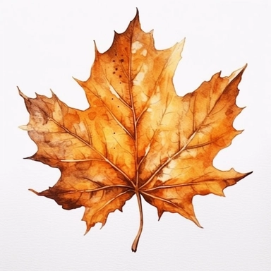 Autumn Leaf in Watercolor hyper-realistic detailed illustrations, elegant water ink brush strokes techniques, delicate markings, monochromatic paintings, free brushwork, watercolor illustrations, painted illustrations Clipart, White Background Clipart, White Background