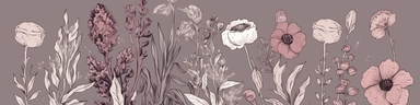 png clipart set line-art watercolor illustration flowers doodle outlines