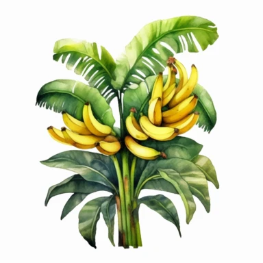 One banana tree Watercolor Clipart On a white background , detailed background elements, playful and colorful depictions , no watermark, text, words, paintbrush, typography, the images do not stick together On a white background , in the style of jane newland, detailed background elements, playful and colorful depictions , no watermark, text, words, paintbrush, typography, the images do not stick together